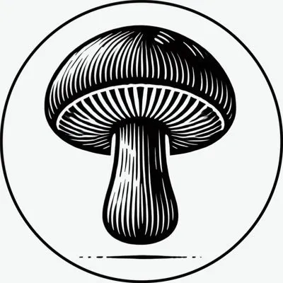 SHROOMIES Team - SHROOMIES